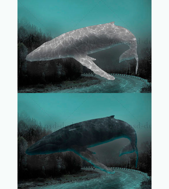 create-an-underwater-scene-in-photoshop-15.jpg